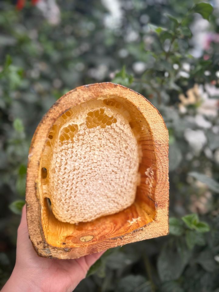 Kütük Bal 250 Gr